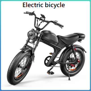 Electric bicycle